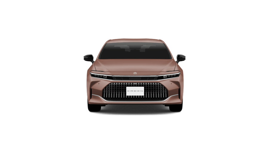 プレシャスブロンズ〈4Y6〉フロント