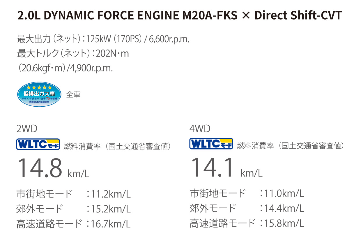 voxy_performance_img09