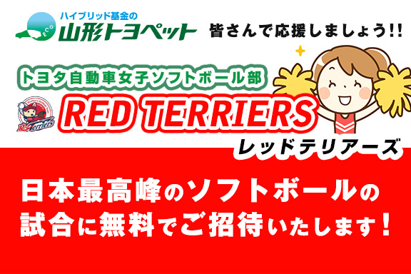 山形トヨペット レッドテリアーズ無料観戦のご案内 サムネイル用