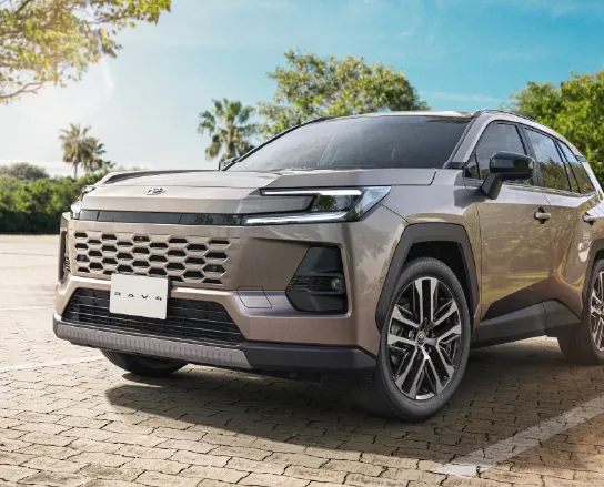 どこでも映える洗練された顔つきこころを惹き付ける